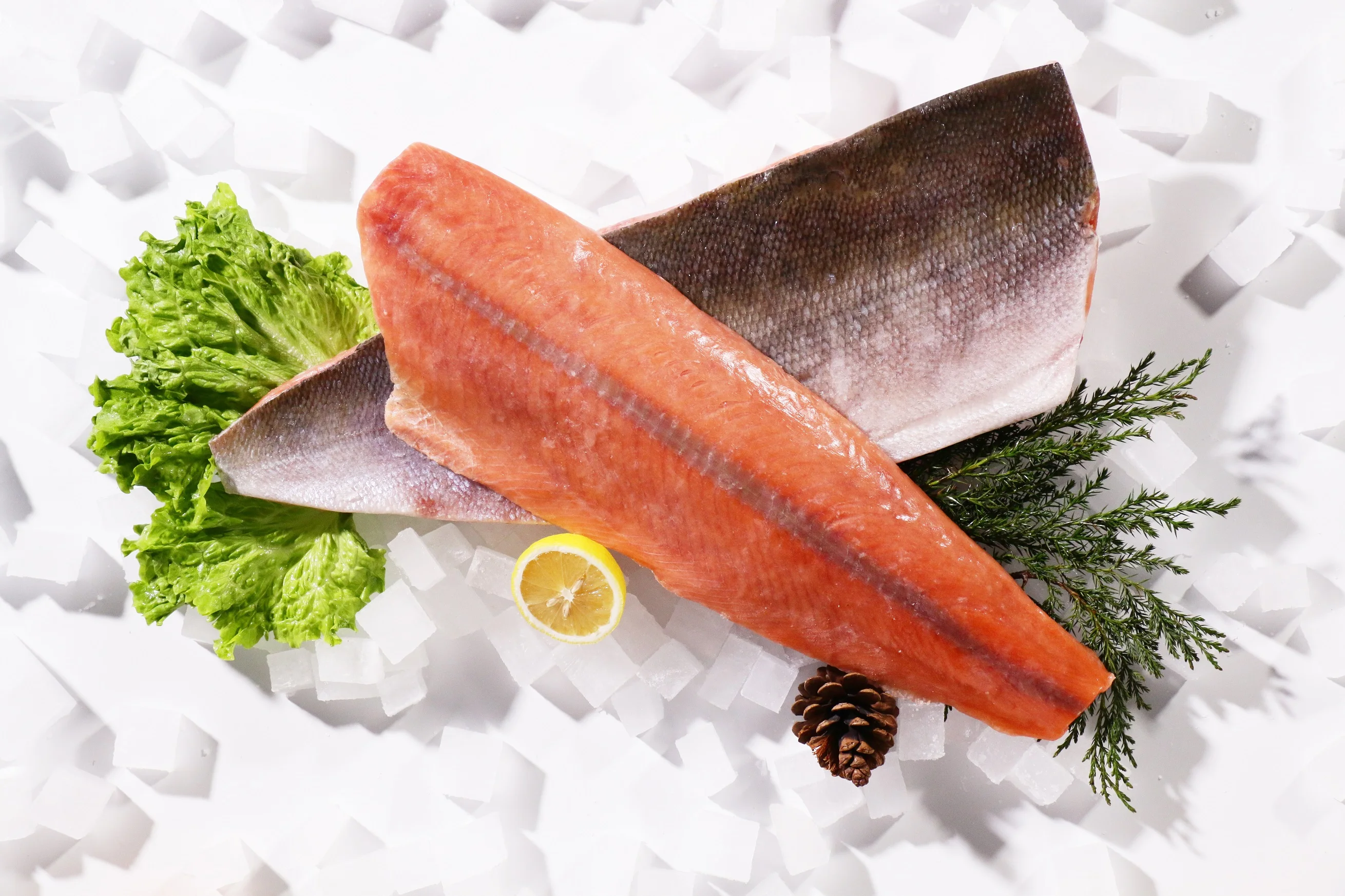 chum salmon fillet frozen pacific ocean fish