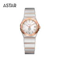

Dropship High quality sapphire 316L all matt stainless steel mechanical automatic transparent caseback watch woman for sale