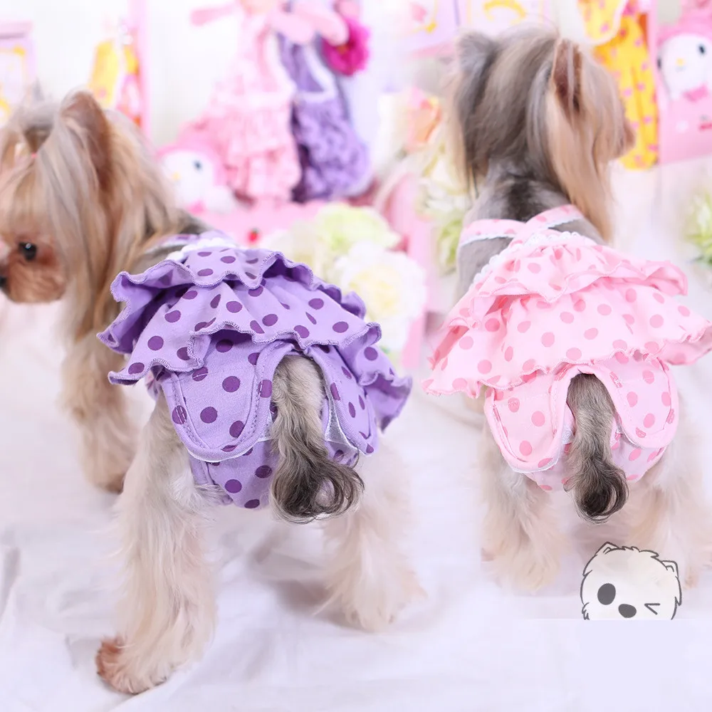 

Lovely Cute Female Dog Physiological Pants Lace Dots Comfortable Washable Pet Sanitary Physiological Pants, Picture