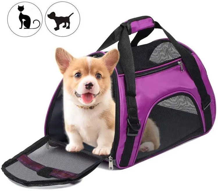 

Hot sale small pet motorcycle pet carrier on public transportation