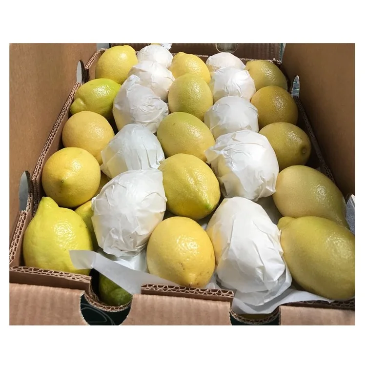 
Wholesale High Quality Fresh Lemon Fresh Citrus Fruit For Sale 
