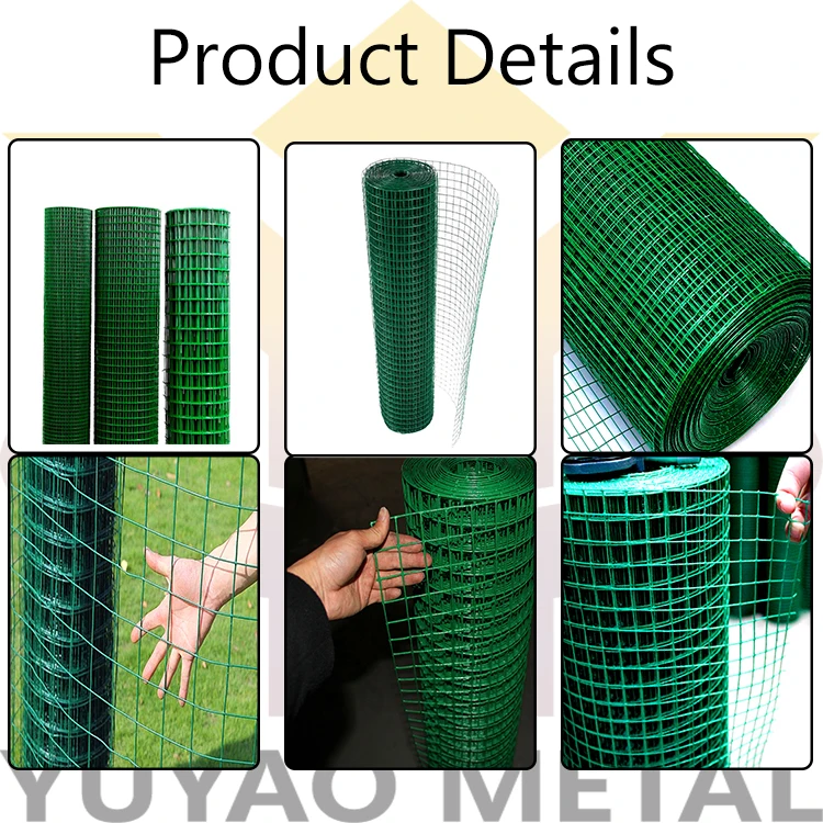 Galvanized Hot Dipped Bird Cage Welded Wire Mesh Panel Pvc Coated ...