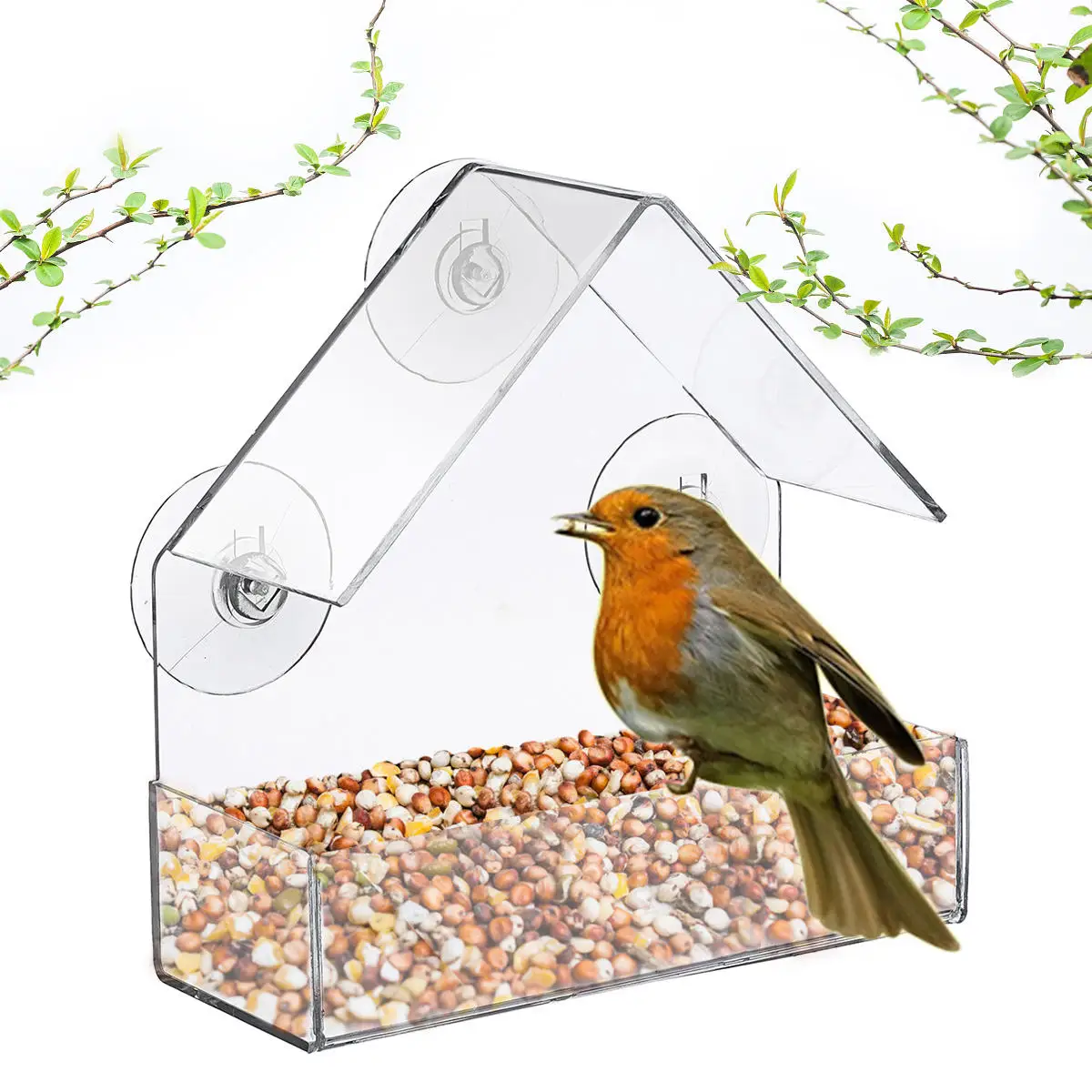 bird feeder (1).jpeg