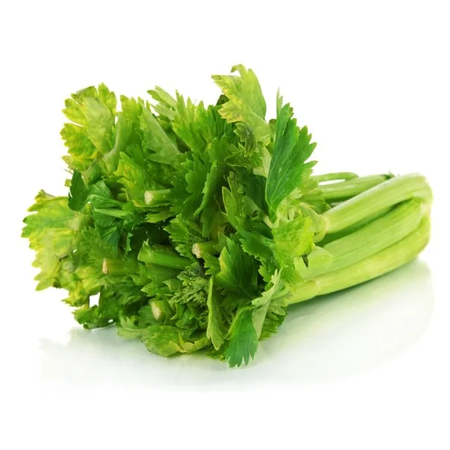 
FRESH VEGETABLES FRESH CELERY CABBAGE - contact now to get the BEST DEAL 