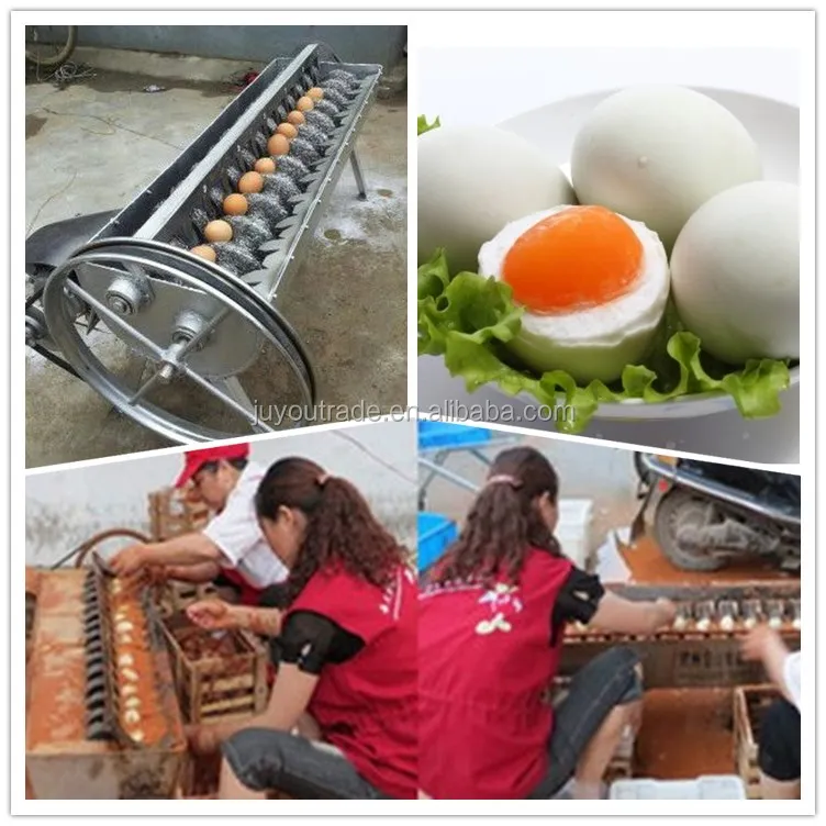 Electric Egg Candy Washing Machine Chicken/Duck/Goose Egg Washer Egg Cleaner  Wash Machine From Lewiao321, $582.92