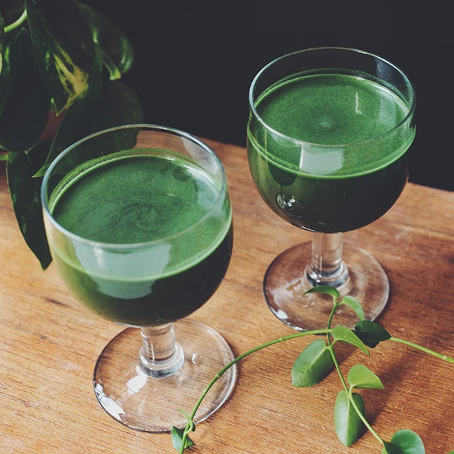 
Wholesale delicious alimentative organic barley grass powder 