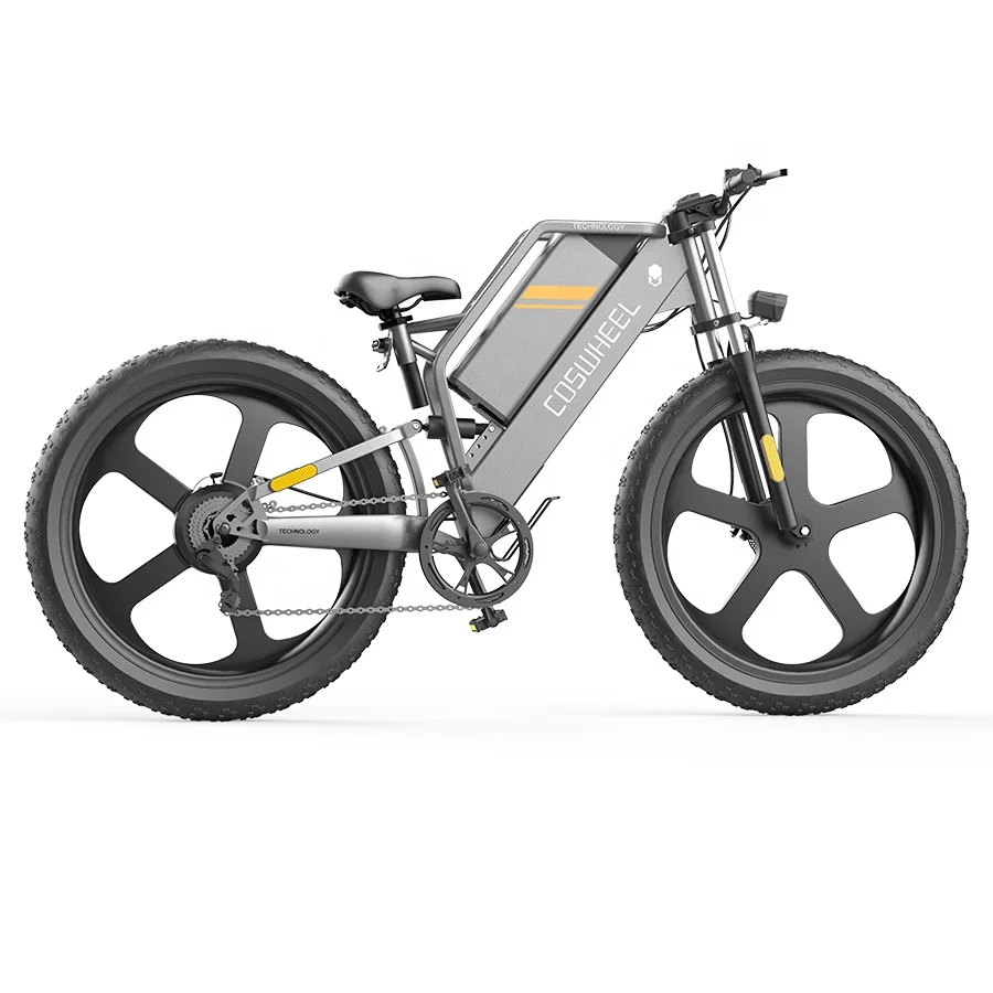 

Most popular 26 inch ebike electric fat tire bike 750W 1000w electric bicycles for wholesale