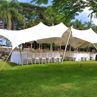 

10*15m freeform stretch beautiful tent