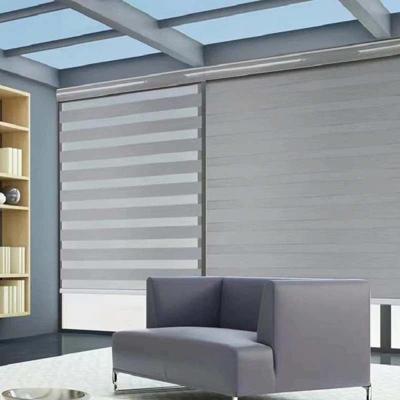 

Blinds Zebra Motorised Integral Day And Night Modern Window Binds Motorized, Customized color