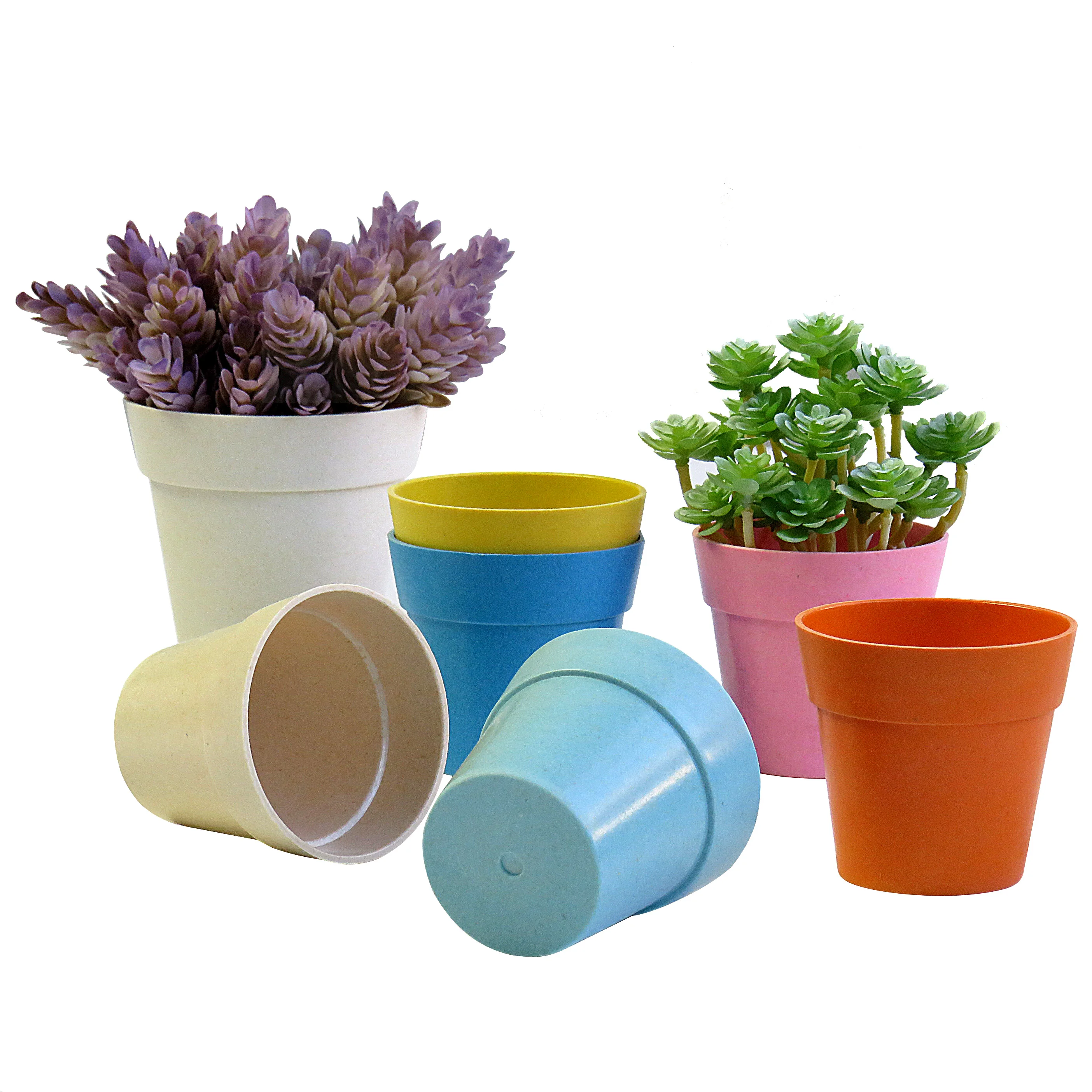 

Biodegradable Pot Mini Succulent Nursery Plant Suppliers Cheap Small Flower Pots, Customized color