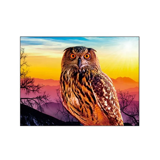 

In stock animal designs 3D lenticular picture 30x40cm for promotion gifts, Cmyk