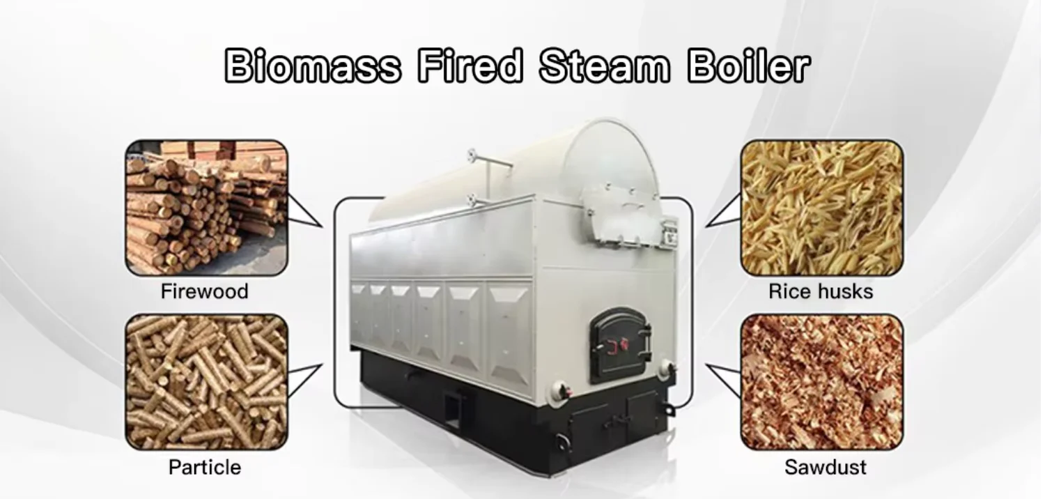 Steam Boiler, 1000kg/h, 2000kg/h - detail 6