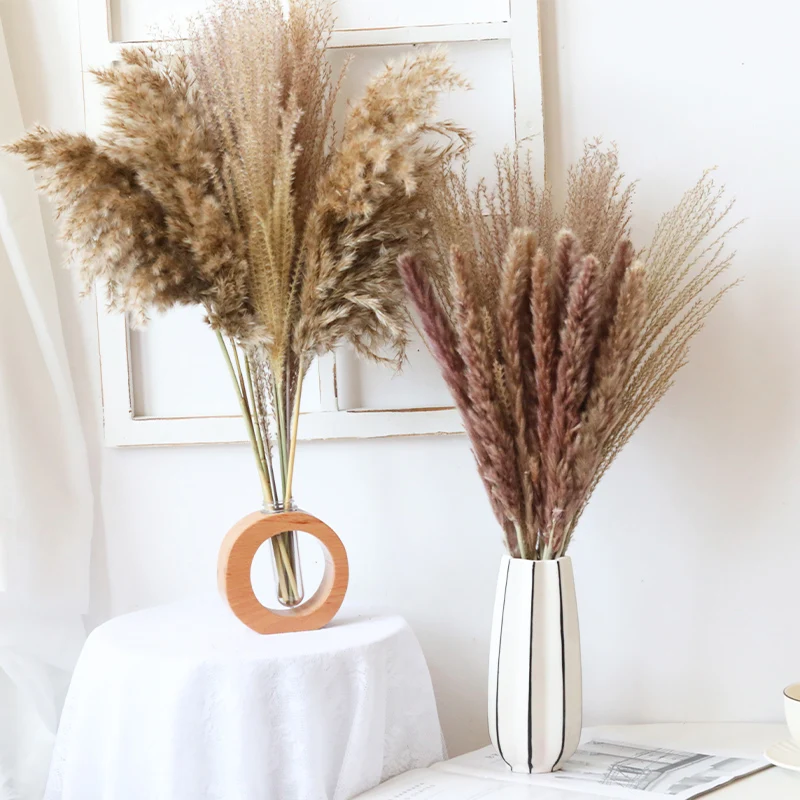 

Light Color Wedding Flowers Bunch Natural Dried Pampas Grass Flower Beautiful Reed Christmas Home Wedding Decoration Phragmites