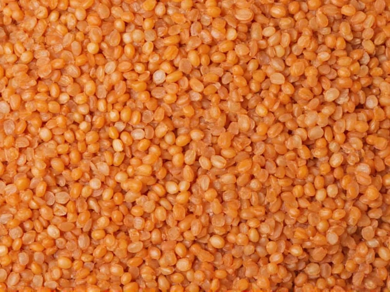 Red Lentil Watertown MA: Current Status & Alternatives
