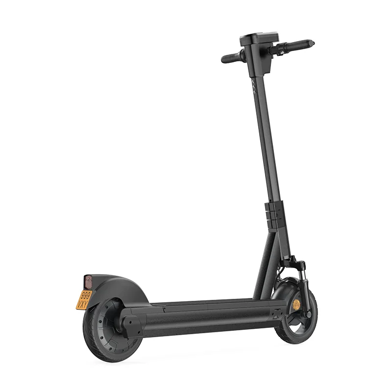 

Professional Manufacture ABE Standard 2 Wheel Electric Scooter with Built-in IOT