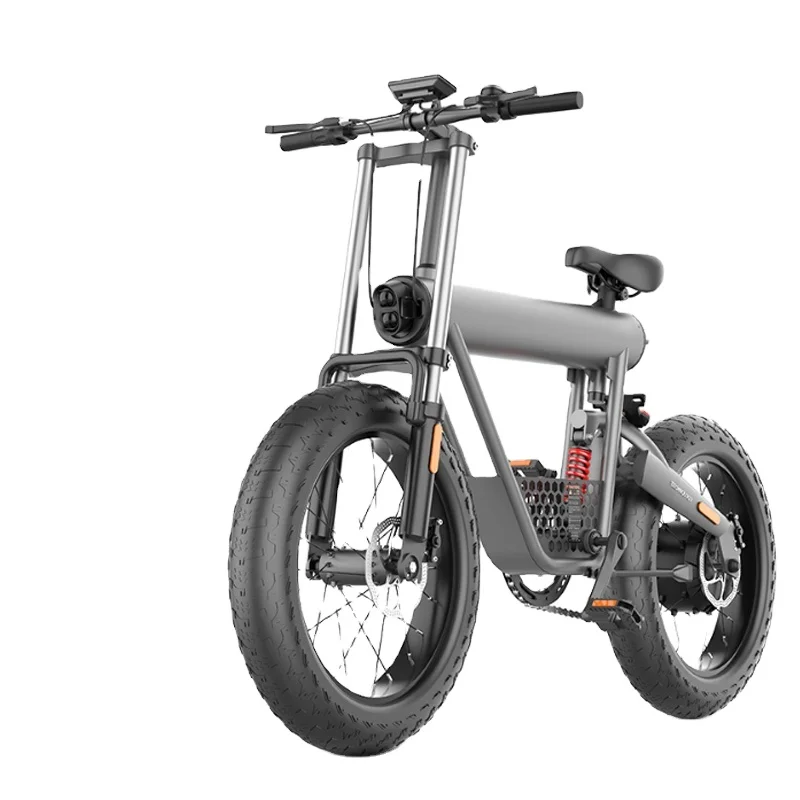 

Fashion adult chopper electric bike e bike coswheel, Space grey color