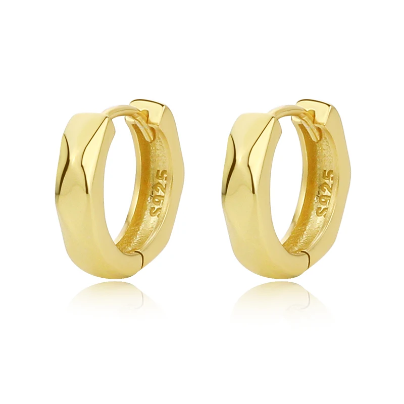 Classic Hot Sale Damila Gold Hoop Earrings round 925 Silver 18K Gold Thick Hoop Earrings for women