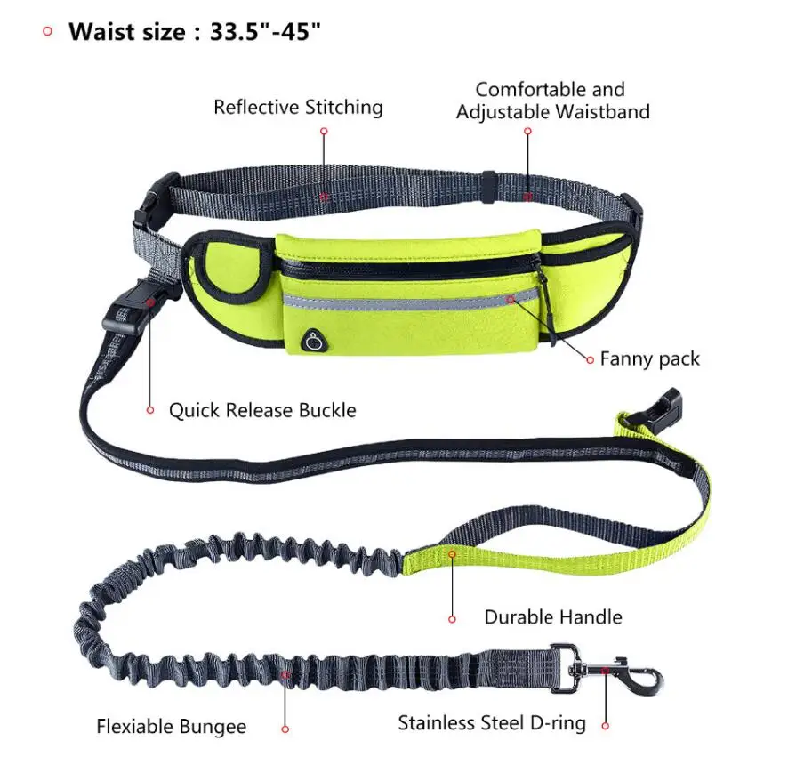 Leash 5.jpg