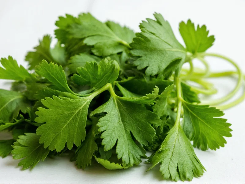 Parsley Equivalent: Dried to Fresh Conversion Guide