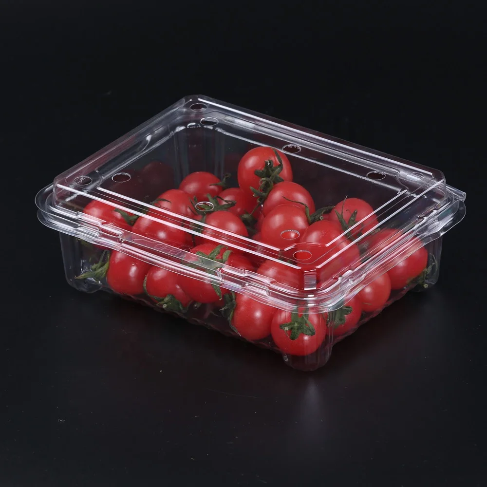 Clear Plastic Fruit Containers With Hinged Lid Buy Small Plastic