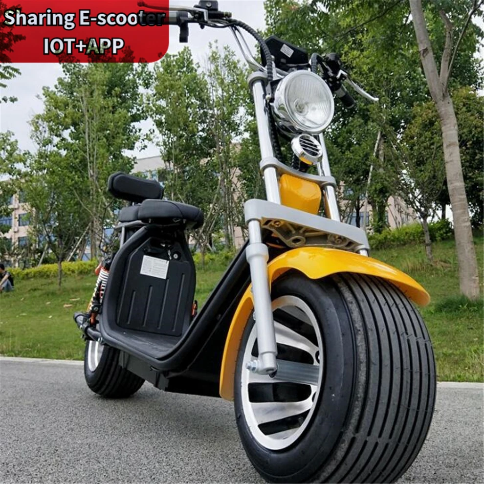 
2020 New Promotional Various 2000W Citycoco Newest Design 18*9.5 Inch halei Durable Big Wheel Electric Scooter 