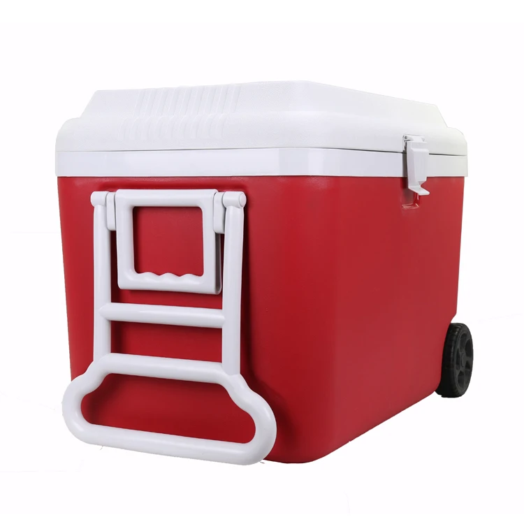 

Hot Selling Portable Plastic Ice Chest Cooler Box 50 Liter, Customized color