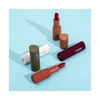 Factory Direct Supply Good Quality Permanent Plumping Make My Own Brand Matte Vegan Lipstick 2 Step