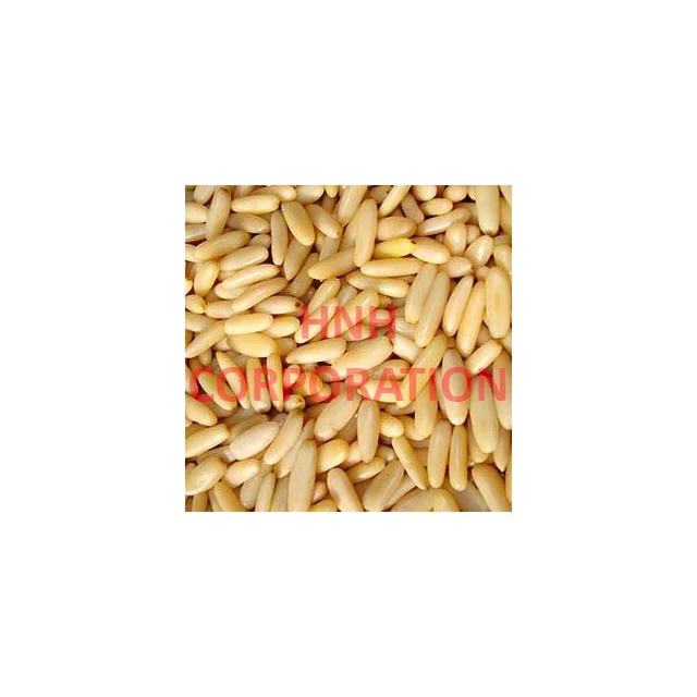 
Organic Pine Nuts Kernels / Pakistani Pine Nuts Kernels 