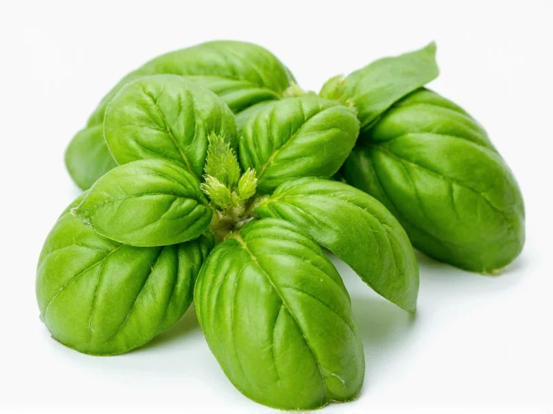 Fresh Basil to Dried Conversion: Exact Ratio Guide