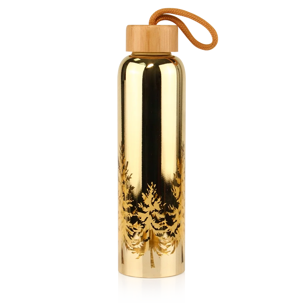 

New Style Electroplating Unbreakable High Borosilicate Glass Sport Water Bottle with Bamboo Lid and Cloth Sleeve, Gold