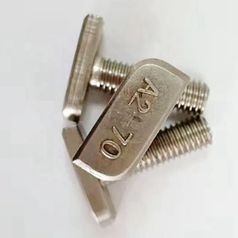 
T Bolt Stainless Steel Customized Forged Flat Rectangle Hammer Square Head Bolt OEM Stock Support 