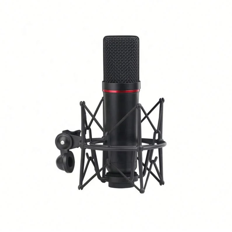 

large diaphragm condenser recording studio microphone with shock mount Condenser microphone