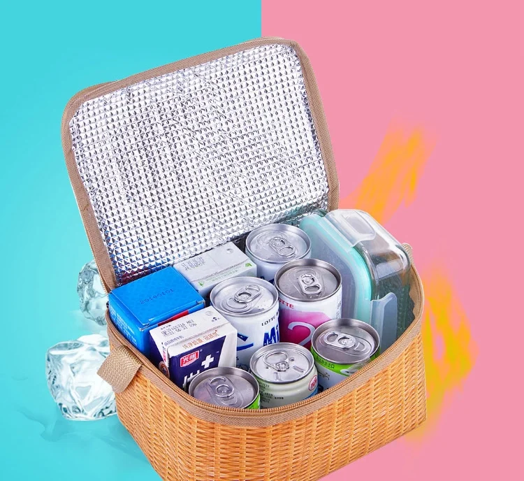 disposable insulated lunch bag