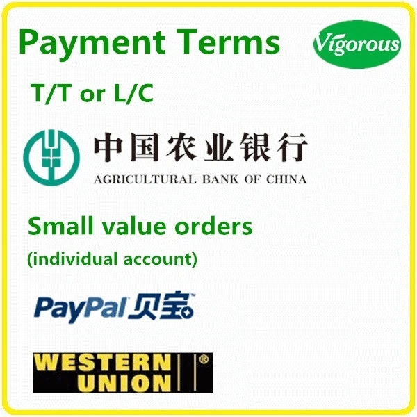 payment