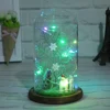 Creative bionic plant home office crafts decoration 2019 hot selling best christmas gift in dust - proof glass cover