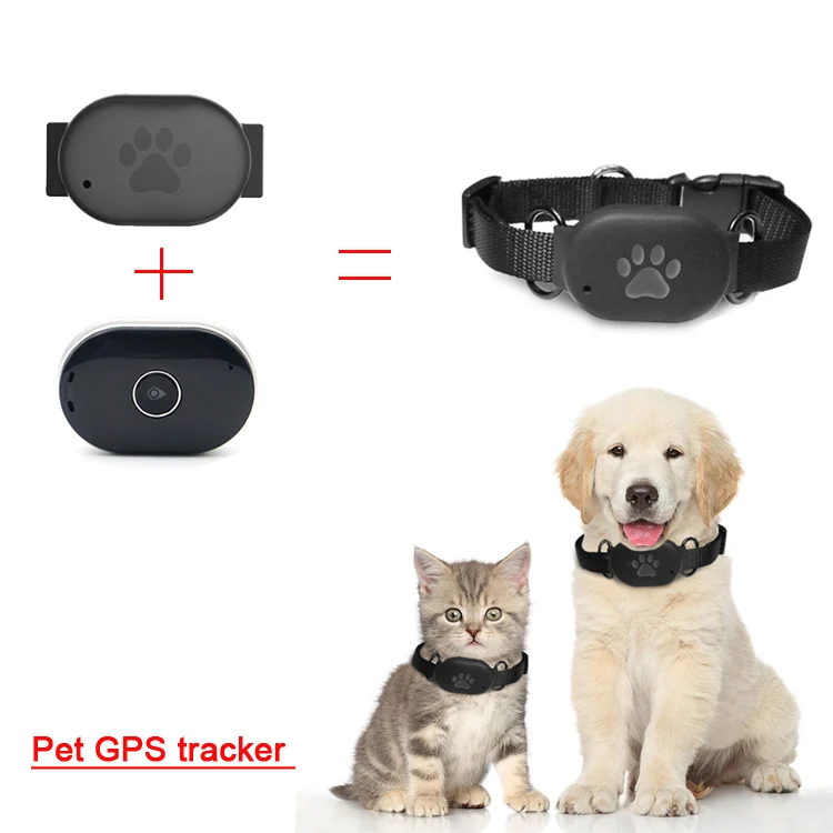 

OEM/ODM Accurate Real Time Location Tracking Device Anti-lost For Animal GPS Tracker Cat Dog GPS Tracker Collar Mini Pet Tracker, Multicolor