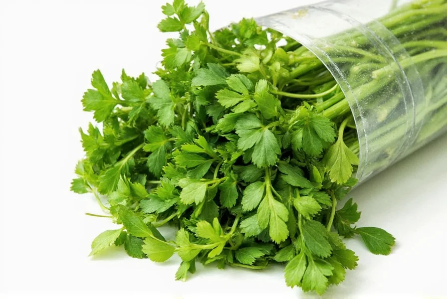 Comparison of fresh coriander versus properly frozen coriander in various storage containers