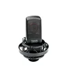 TAKSTAR New arrival network live broadcasting instrument side address studio microphone for instrument recording TAK45