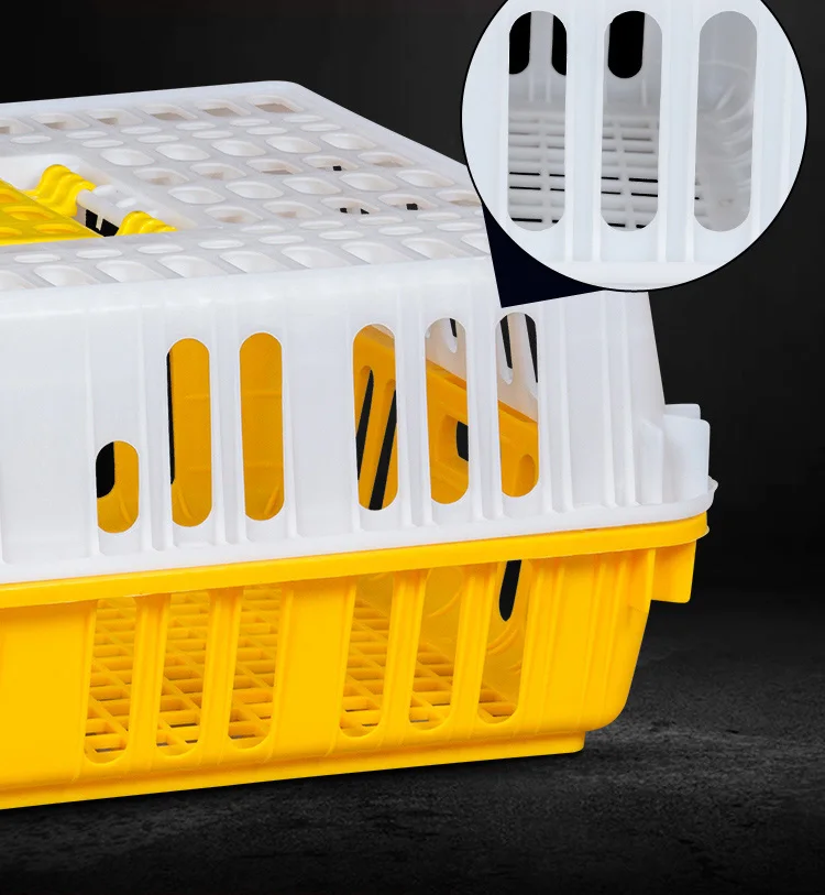 chicken cage (6).jpg
