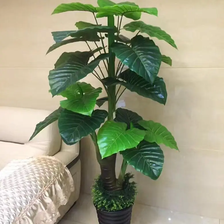 que planta es el arbol de la vida que planta es el arbol de la vida