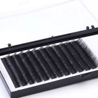 

Free Sample 8-14Mm Mix Length Sable Silk Eyelash Extension Volume With Private Label Lash Box