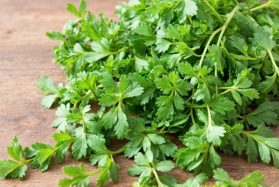 parsley fresh to dry conversion a sprig of wisdom for every kitchen