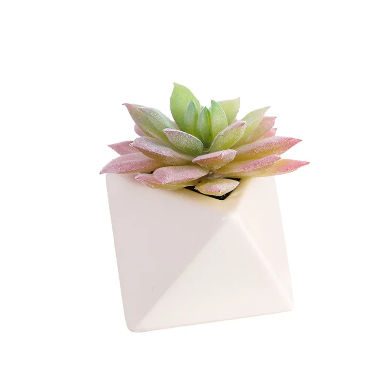 

Simulation Of Succulent Plastic Potted Plants With Green Flowers And Decorative Plants In The Living Room At Home