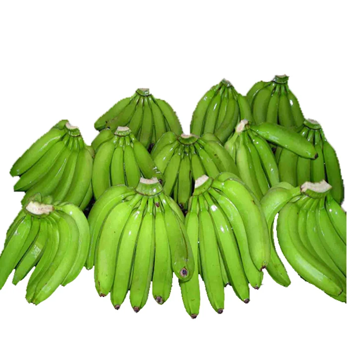 
High Quality Best Banana Indian Exporter 