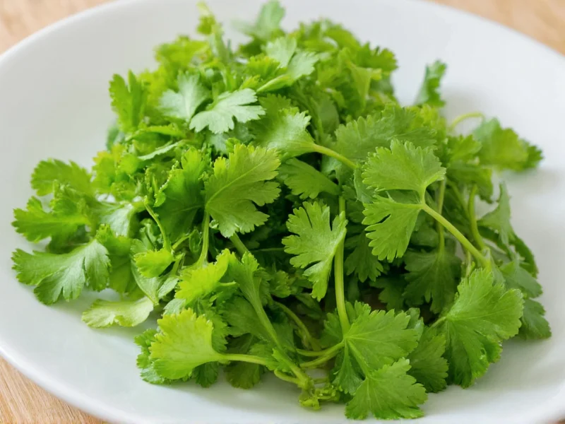 Celery vs Coriander: Clear Botanical Differences Explained