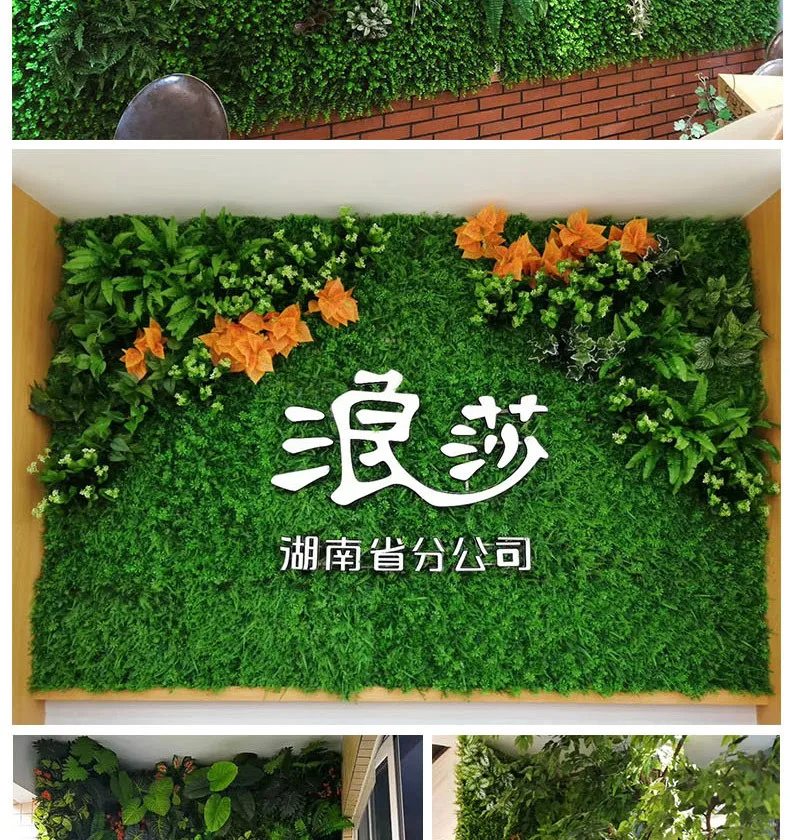 xingqing1 (7)