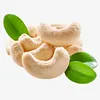 Dried style and raw processing for CASHEW BUYERS