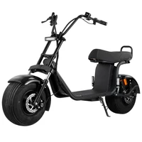 

Holland warehouse EEC COC strong motor 2000w/3000w Electric Scooters Citycoco scooter electric