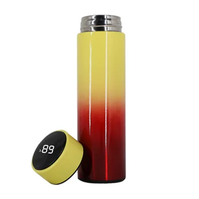 

Mikenda Double Wall Insulated Vacuum Flask Smart 304 Stainless Steel Water Thermal Bottle Temperature with Display, Mix