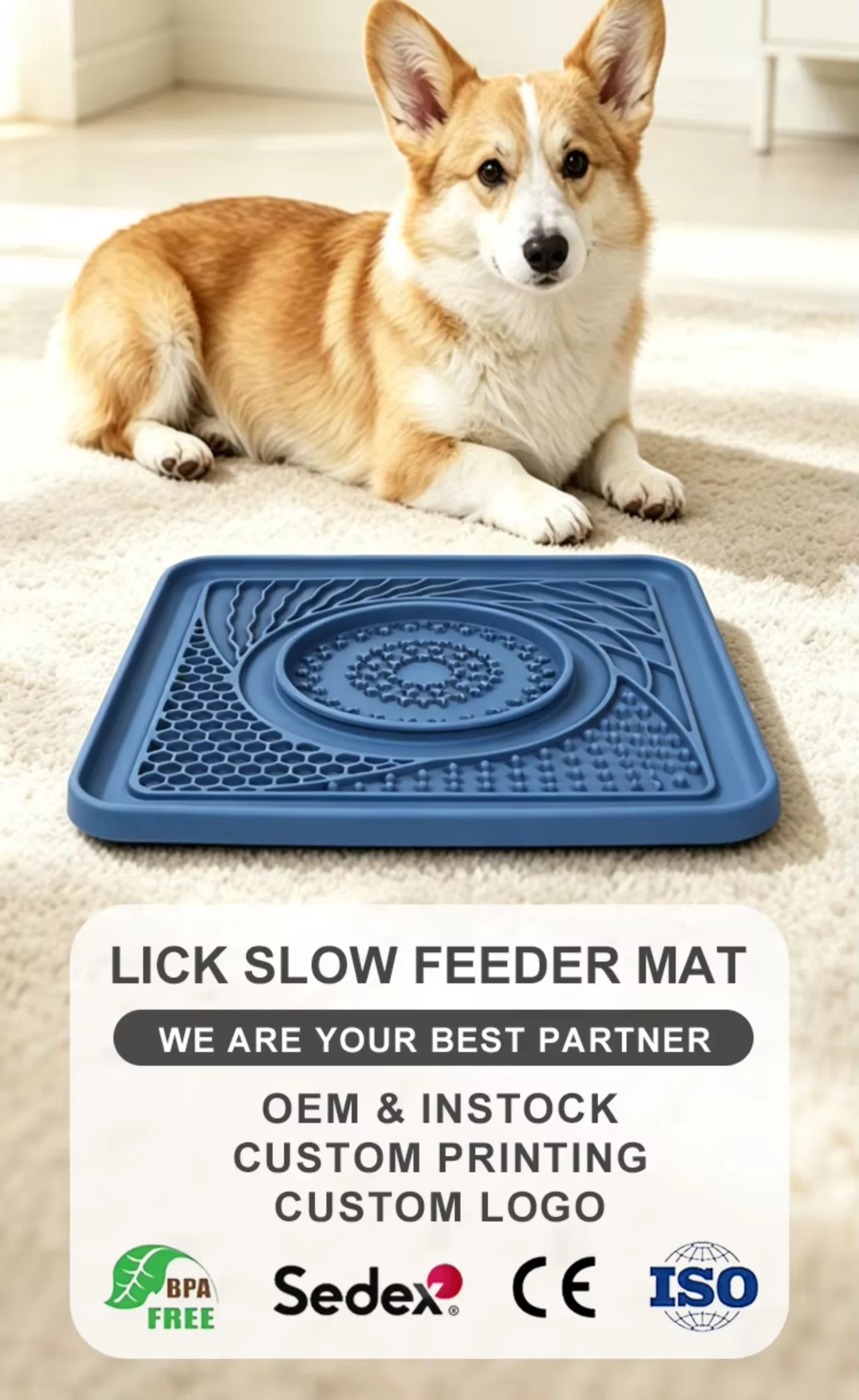 Food Grade Silicone Portable Lick Mat for Pets Slow Food Dispensing Pad Anti Skid Base Interactive Calming Treat